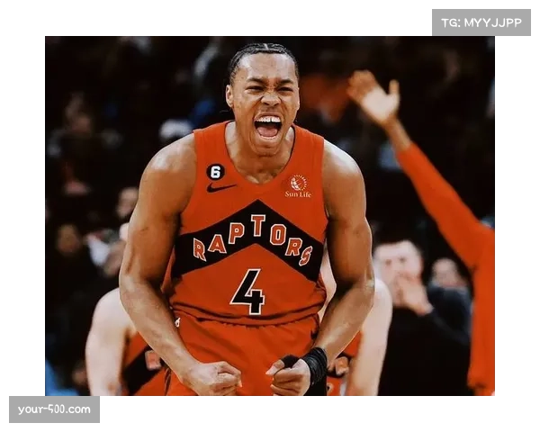 猛龙加拿大唯一球队优势 国家级市场红利支撑商业价值